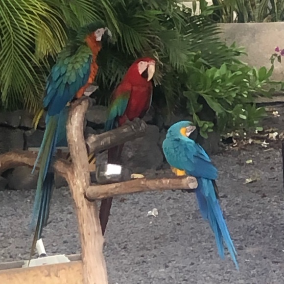 Meet your Posher, Ashley - Picture 1 of 1